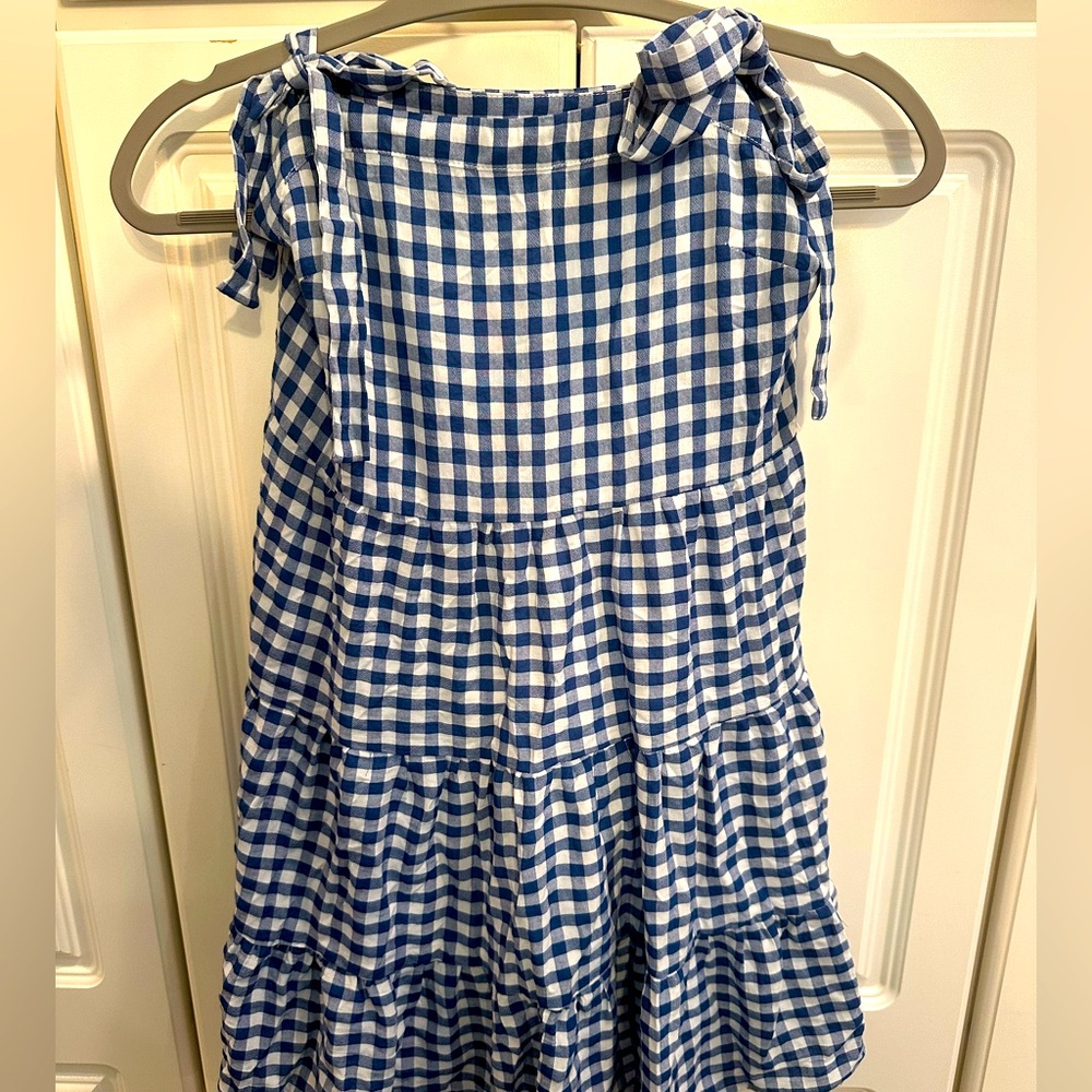 Pink Lily Blue Gingham Mini Dress